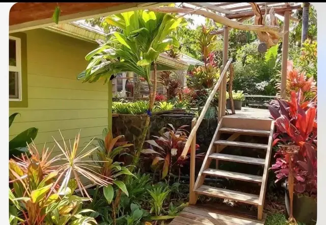 Listing Image for 7953 Hana Hwy 23 of 46