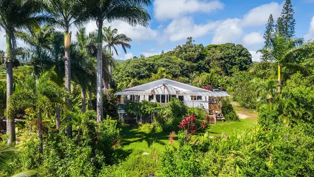 Listing Image for 7953 Hana Hwy 29 of 46