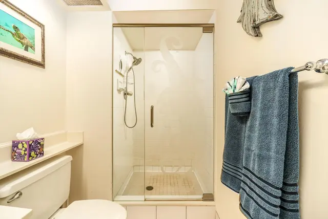 Listing Image for 2653 S Kihei Rd 311 22 of 40