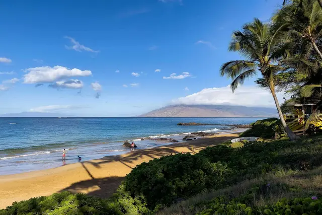 Listing Image for 2653 S Kihei Rd 311 40 of 40
