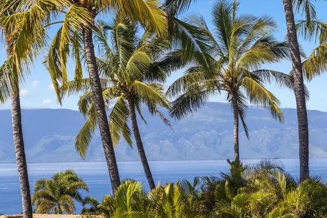 Listing Image for 33 E Mahi Pua Pl 41 of 46
