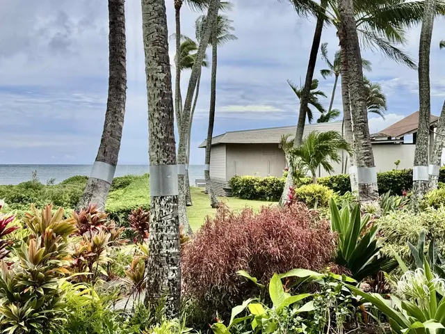 Listing Image for 7146 Kamehameha V Hwy C104 23 of 31