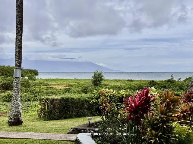 Listing Image for 7146 Kamehameha V Hwy C104 24 of 31