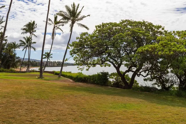 Listing Image for 2152 Iliili Rd 102 24 of 46