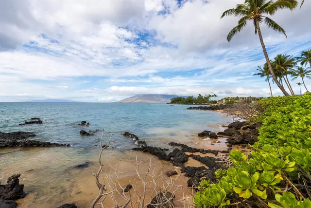 Listing Image for 2152 Iliili Rd 102 27 of 46
