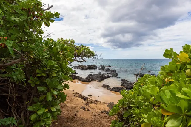 Listing Image for 2152 Iliili Rd 102 28 of 46