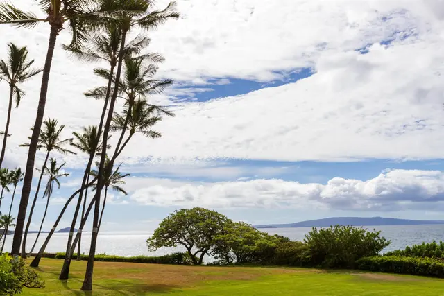 Listing Image for 2152 Iliili Rd 102 29 of 46