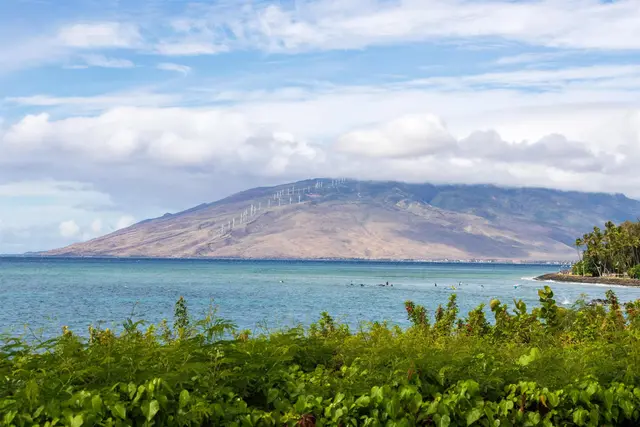 Listing Image for 2152 Iliili Rd 102 30 of 46