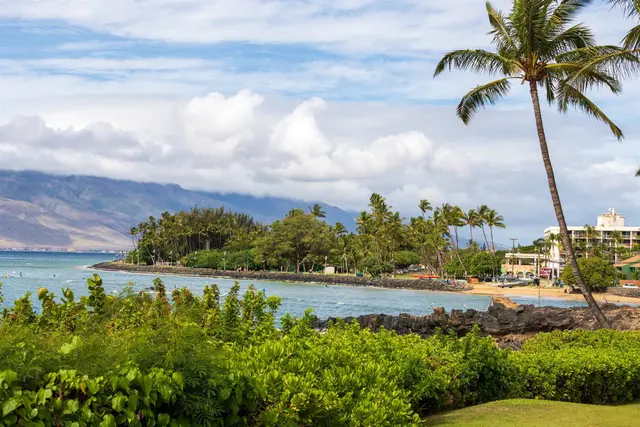 Listing Image for 2152 Iliili Rd 102 31 of 46