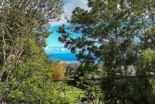 Listing Image for 1483 Lower Kimo Dr 6 of 9