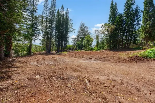 Listing Image for 2175 Kauhikoa Rd 7 3 of 21