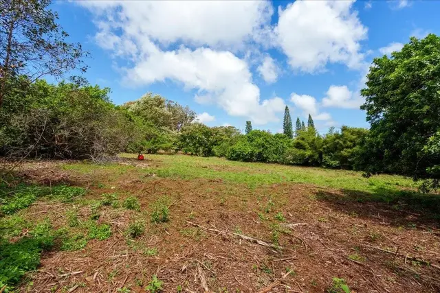 Listing Image for 2175 Kauhikoa Rd 7 9 of 21