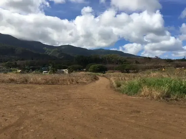 1503 Piihana Rd, Wailuku, 402101 - 2/4