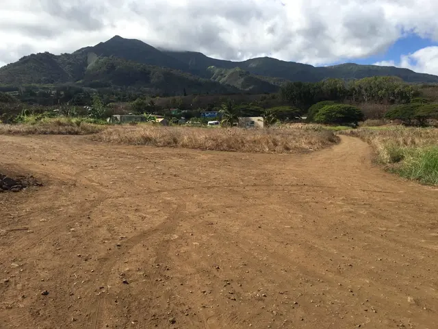 1503 Piihana Rd, Wailuku, 402101 - 3/4