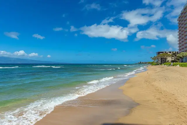 Listing Image for 106 Kaanapali Shores Pl 402 39 of 39