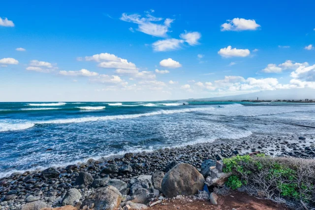 Listing Image for 523 Kaikoo St 21 of 29