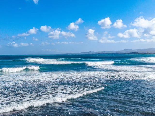 Listing Image for 523 Kaikoo St 25 of 29