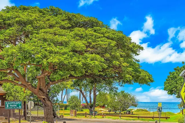 Listing Image for 715 S Kihei Rd 103 1 of 41