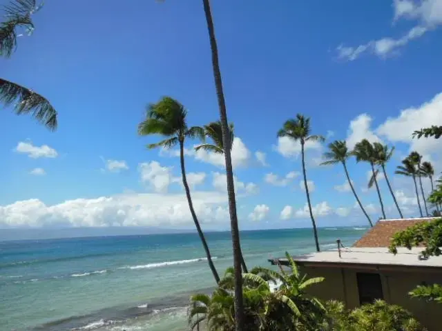 Listing Image for 3543 Lower Honoapiilani Rd A-308 23b 13 of 23