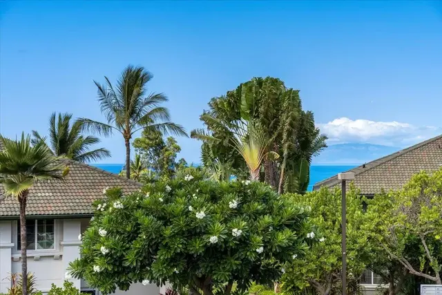 Listing Image for 3950 Kalai Waa St M-201 29 of 34