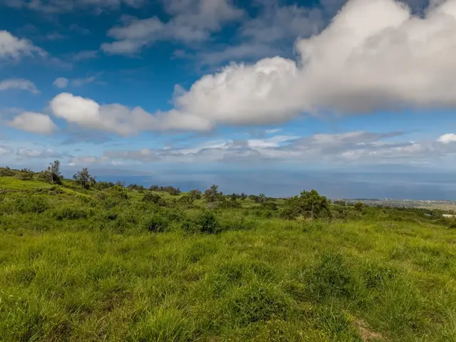 Listing Image for 9900 Kula Hwy 10 of 28