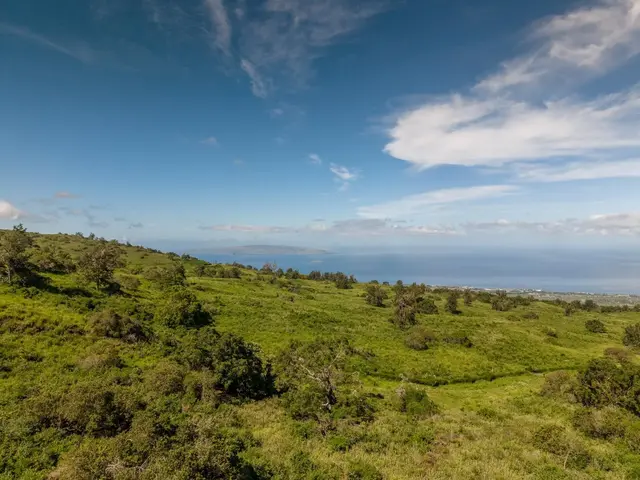 Listing Image for 9900 Kula Hwy 11 of 28