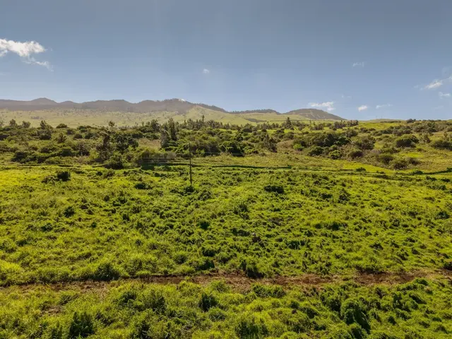 Listing Image for 9900 Kula Hwy 12 of 28