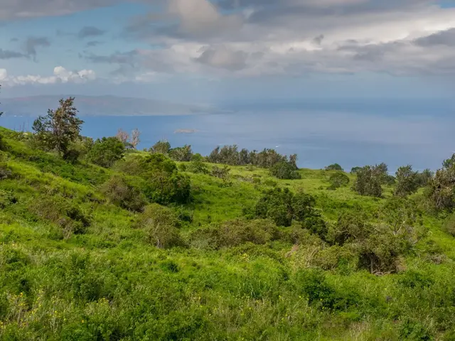 Listing Image for 9900 Kula Hwy 12 of 32