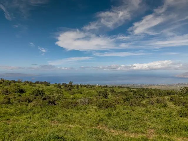 Listing Image for 9900 Kula Hwy 15 of 28