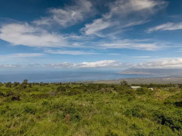 Listing Image for 9900 Kula Hwy 16 of 28