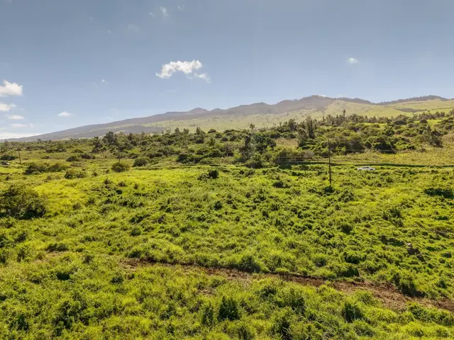 Listing Image for 9900 Kula Hwy 16 of 32
