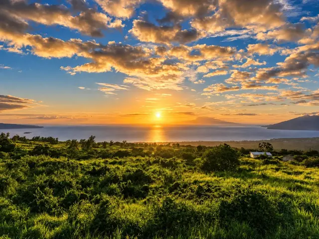 Listing Image for 9900 Kula Hwy 2 of 32