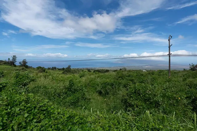 Listing Image for 9900 Kula Hwy 21 of 28