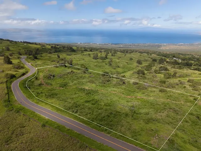 Listing Image for 9900 Kula Hwy 22 of 32
