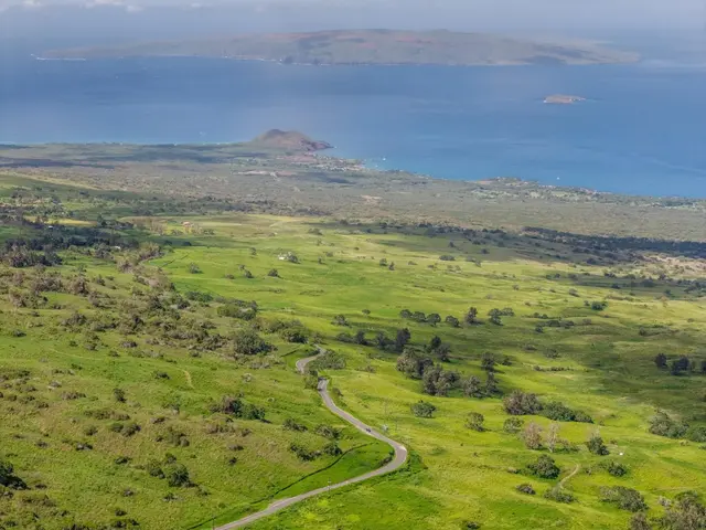 Listing Image for 9900 Kula Hwy 7 of 28