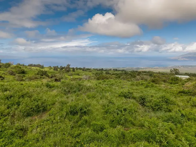 Listing Image for 9900 Kula Hwy 8 of 28