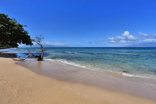 Listing Image for 3788 Lower Honoapiilani Rd A-115 36 of 50