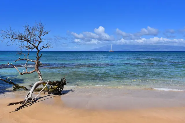 Listing Image for 3788 Lower Honoapiilani Rd A-115 37 of 50