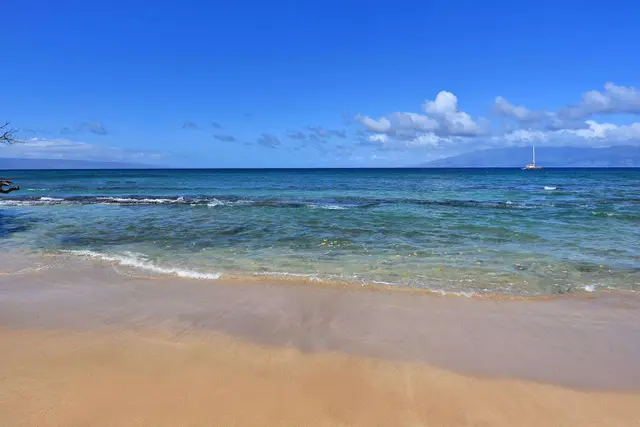 Listing Image for 3788 Lower Honoapiilani Rd A-115 38 of 50