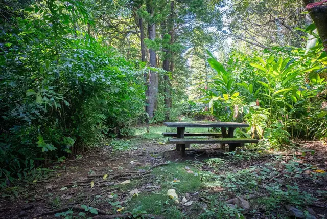 Listing Image for 1004 Kauhikoa Rd Unit 1 19 of 42