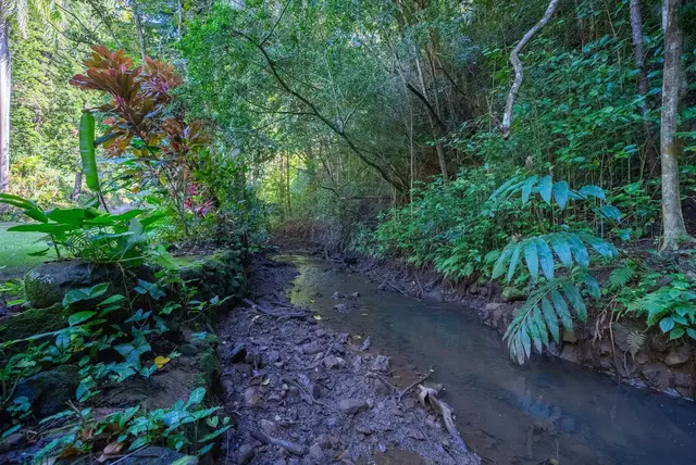 Listing Image for 1004 Kauhikoa Rd Unit 1 26 of 42