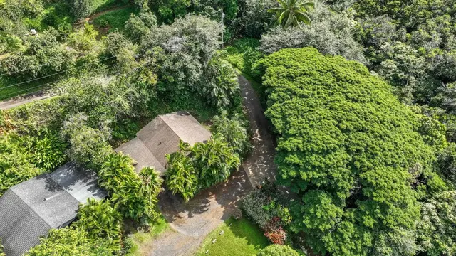 Listing Image for 1004 Kauhikoa Rd Unit 1 29 of 42