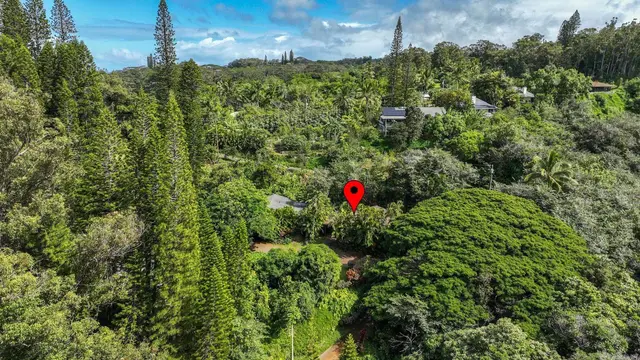 Listing Image for 1004 Kauhikoa Rd Unit 1 31 of 42