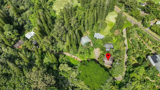 Listing Image for 1004 Kauhikoa Rd Unit 1 38 of 42