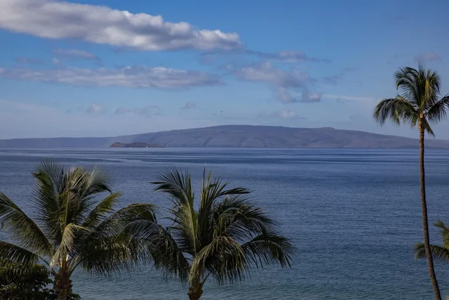 Listing Image for 2960 S Kihei Rd 514 3 of 39