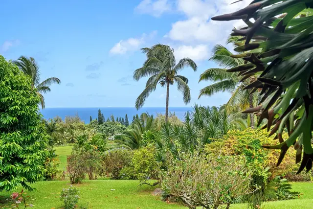 Listing Image for 237 Manawai Pl 32 of 50