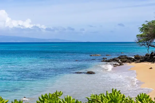 Listing Image for 4095 Lower Honoapiilani Rd 117 17 of 18