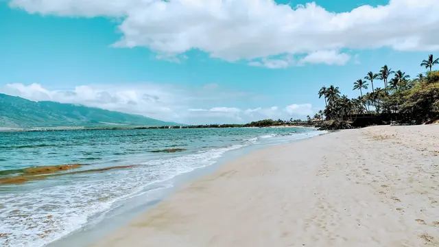 Listing Image for 679 S Kihei Rd C-108 40 of 41