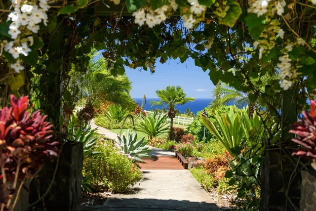 Listing Image for 65 Wili Okai Way 8 of 50