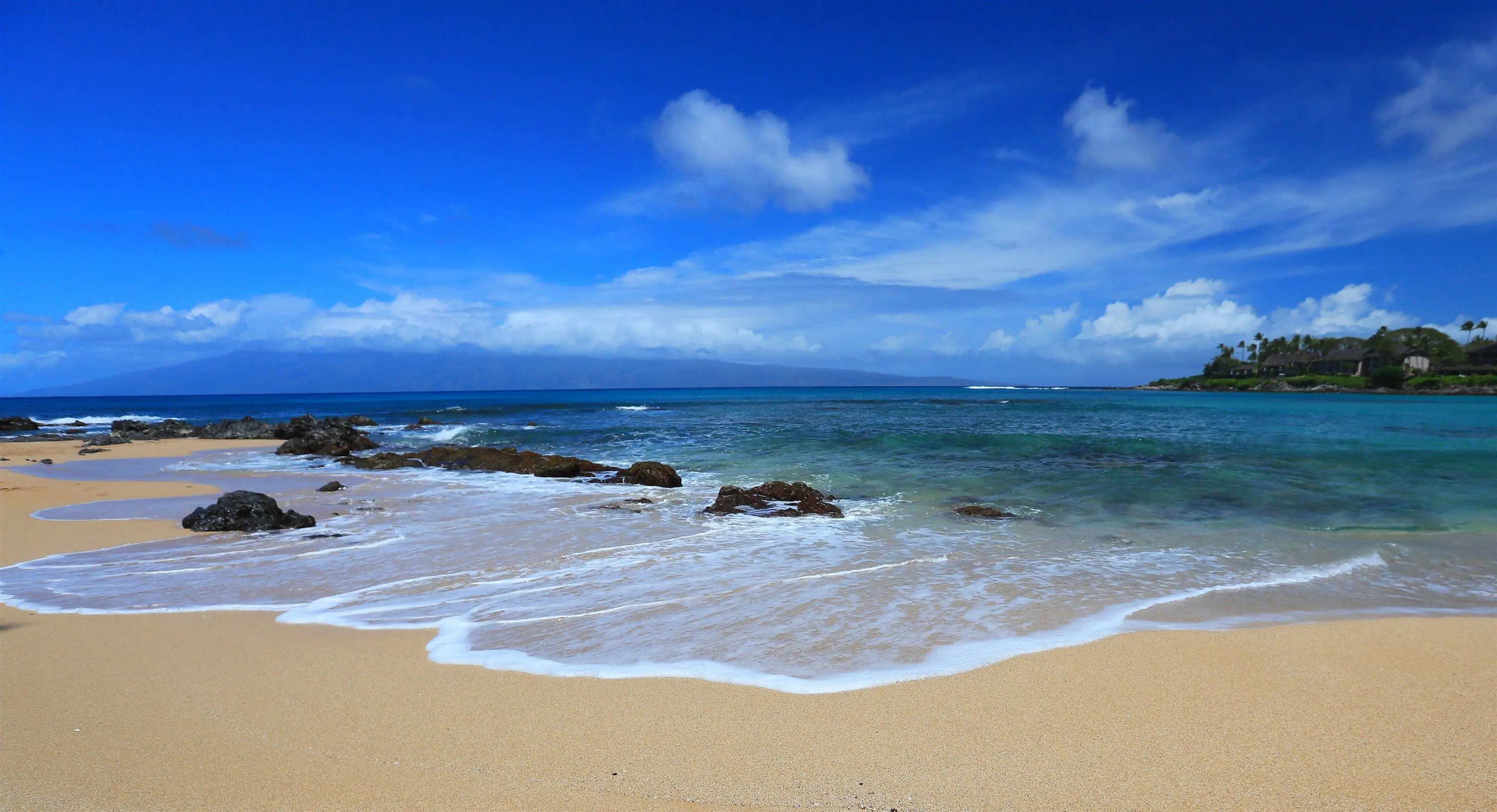 Photo of Listing #408547